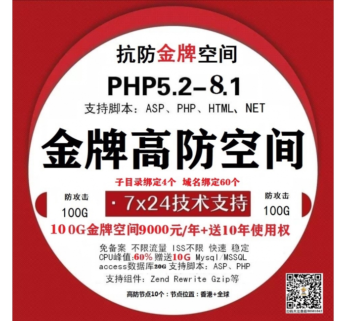 金牌空间100G